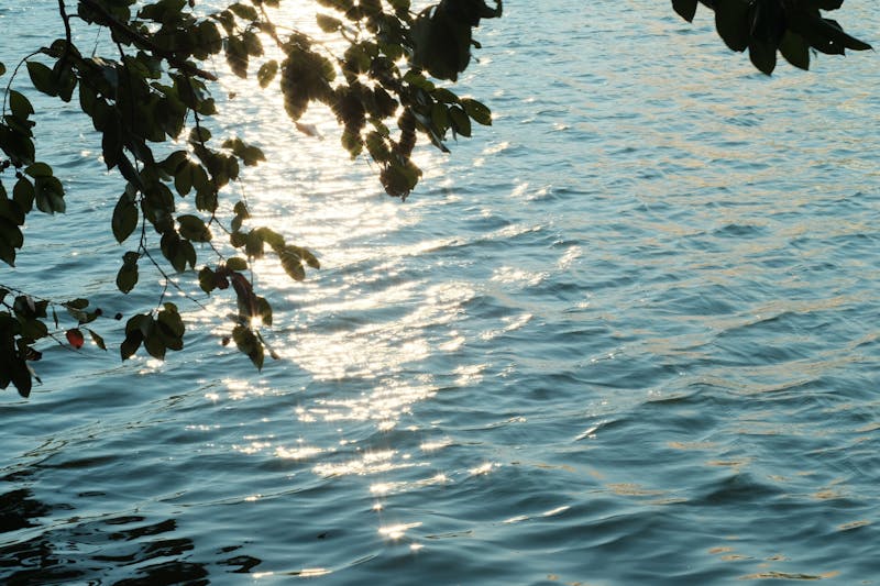 Sparkling water with citrus slices